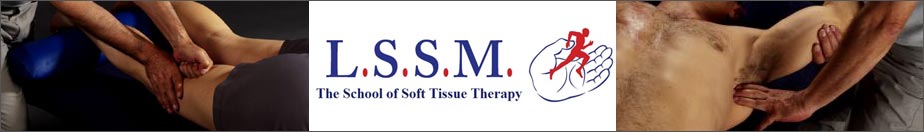 the LSSM